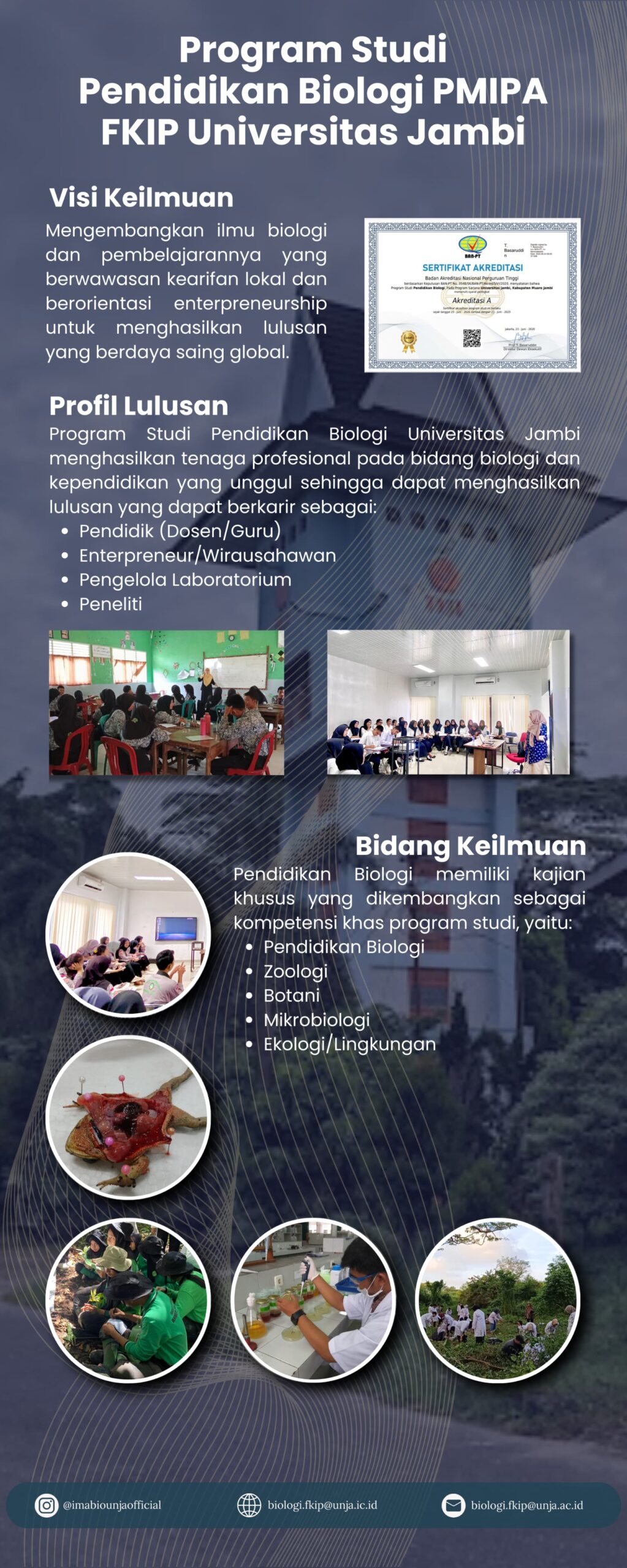 WhatsApp Image 2024-10-15 at 09.52.08